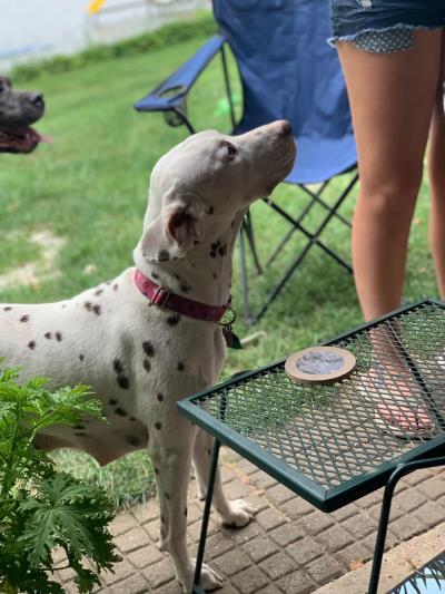 Boo at lake